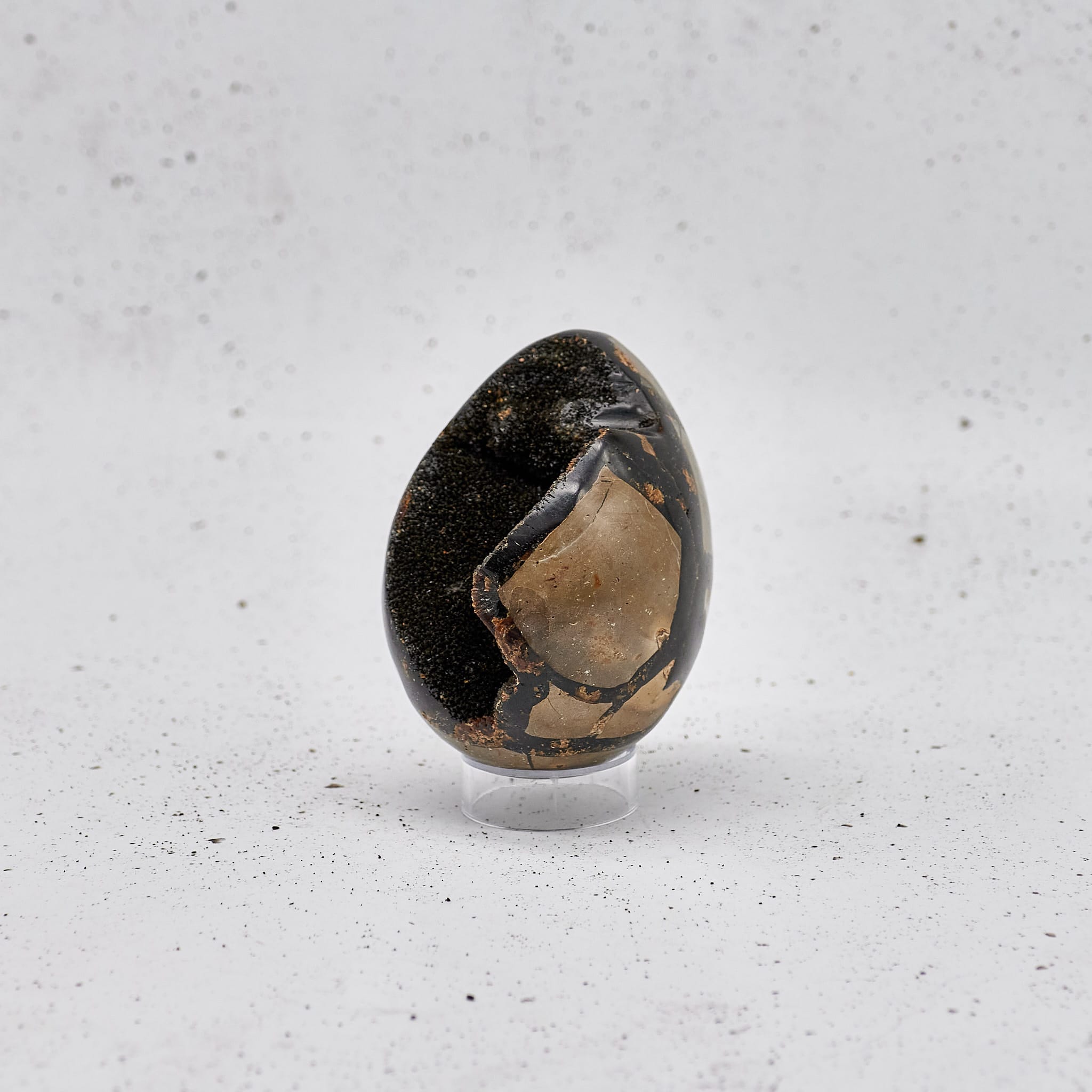 Septarian - Special #099
