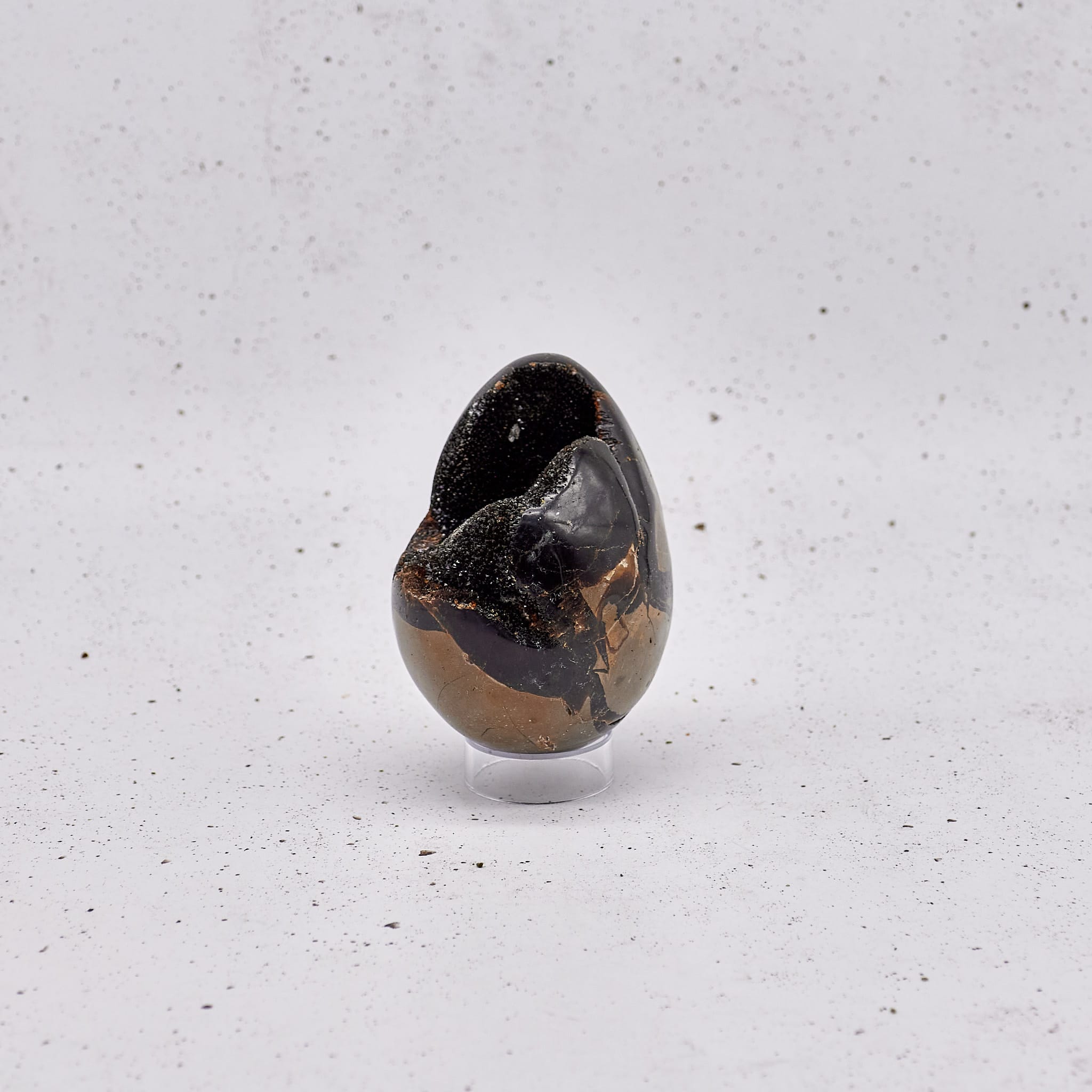 Septarian - Poseban #100